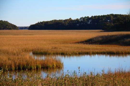 sc_estuary_206