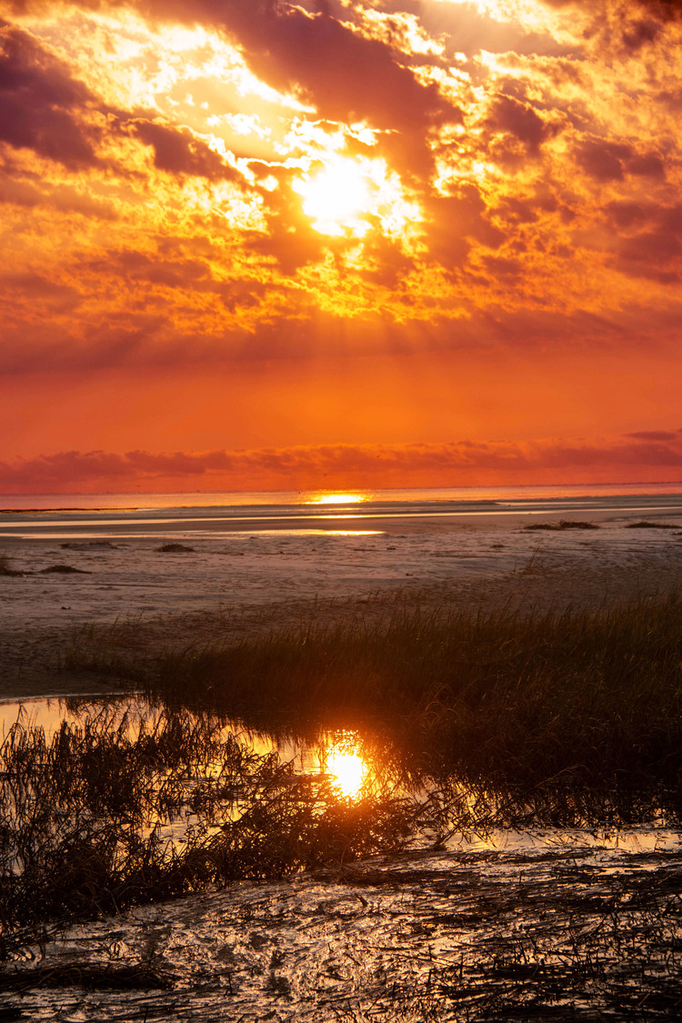 the glory of morning