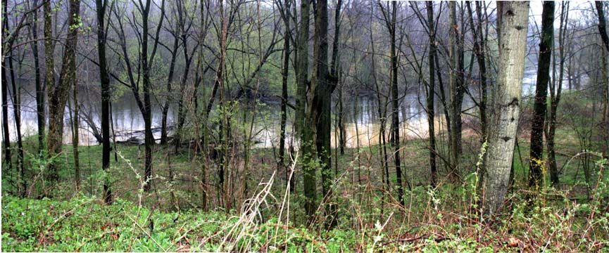 mi_P_Huron River in the Rain