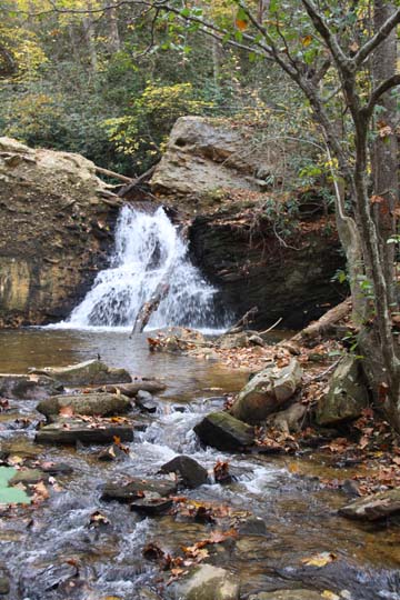 nc_creekbed_136