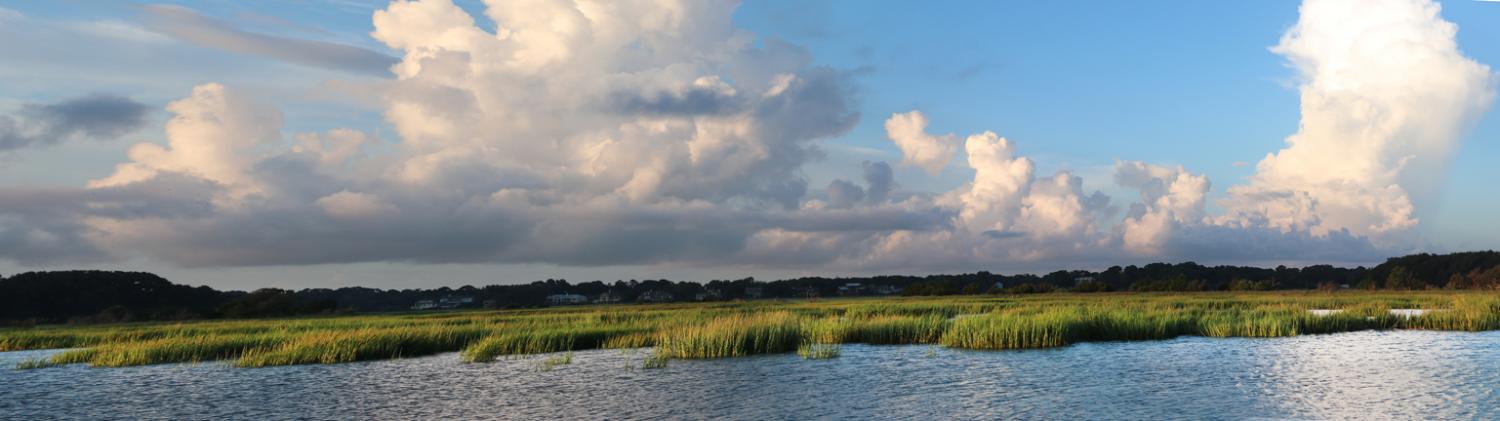 marsh in the morning_P_