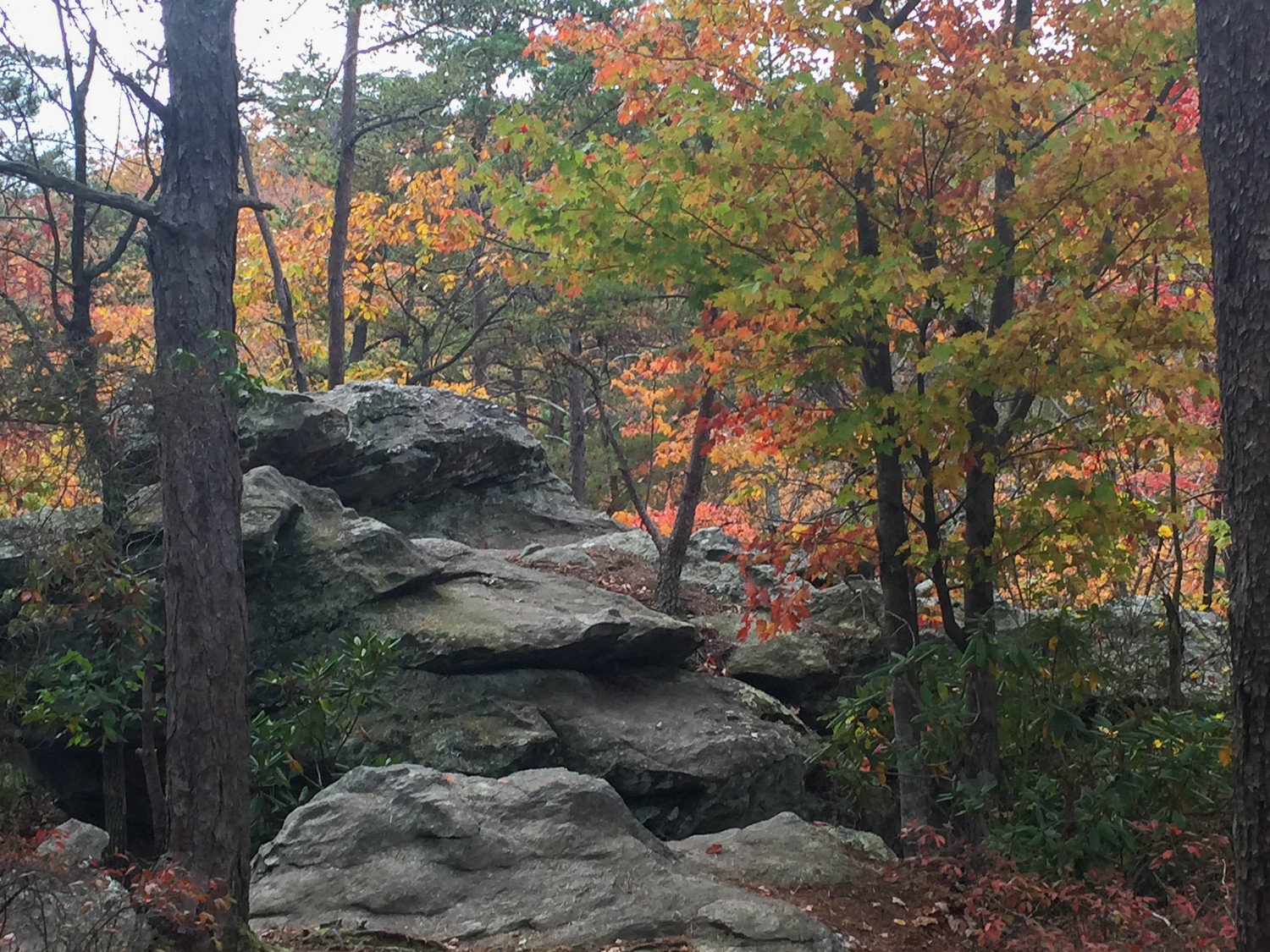 Winston Salem picnic spot