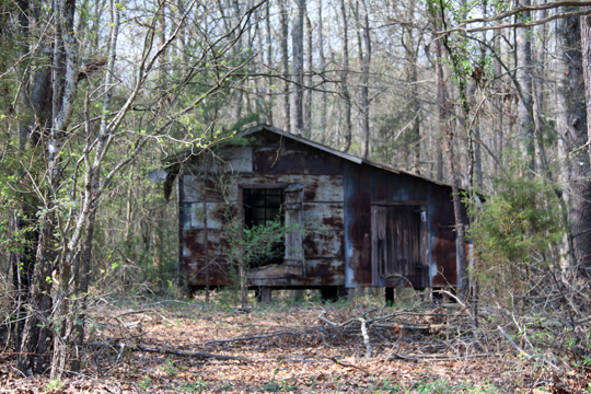 nc_Bootleg shack 071