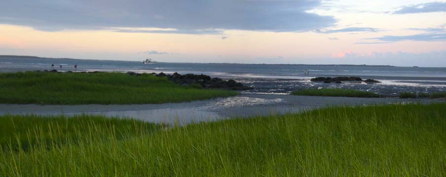 landscape gallery_south_sc