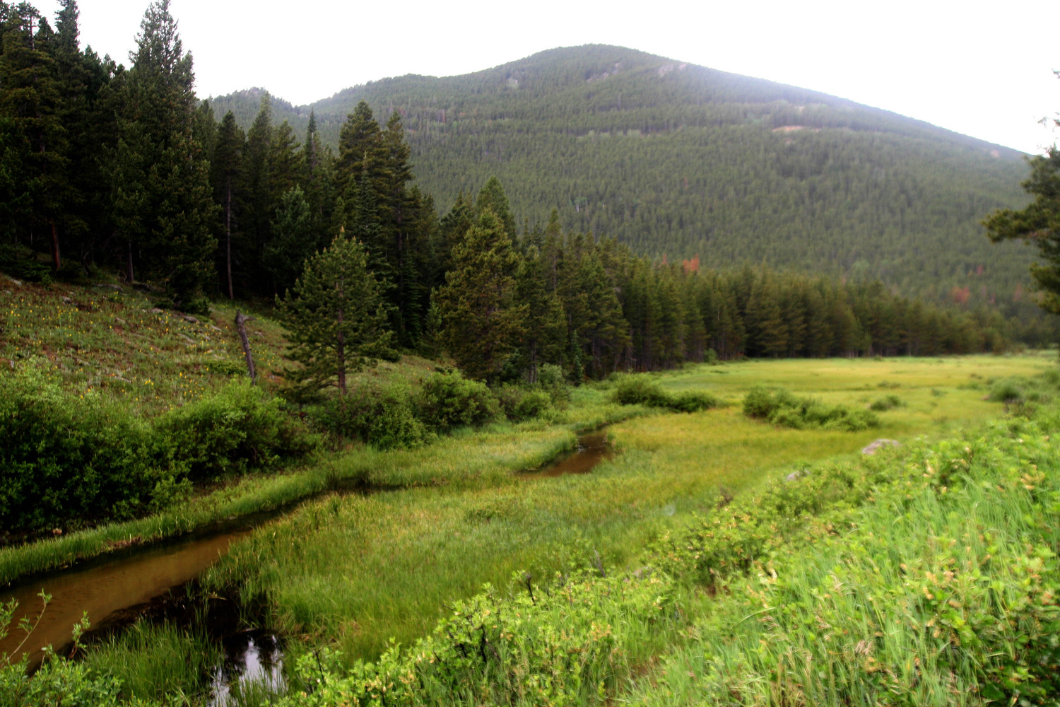 the valley