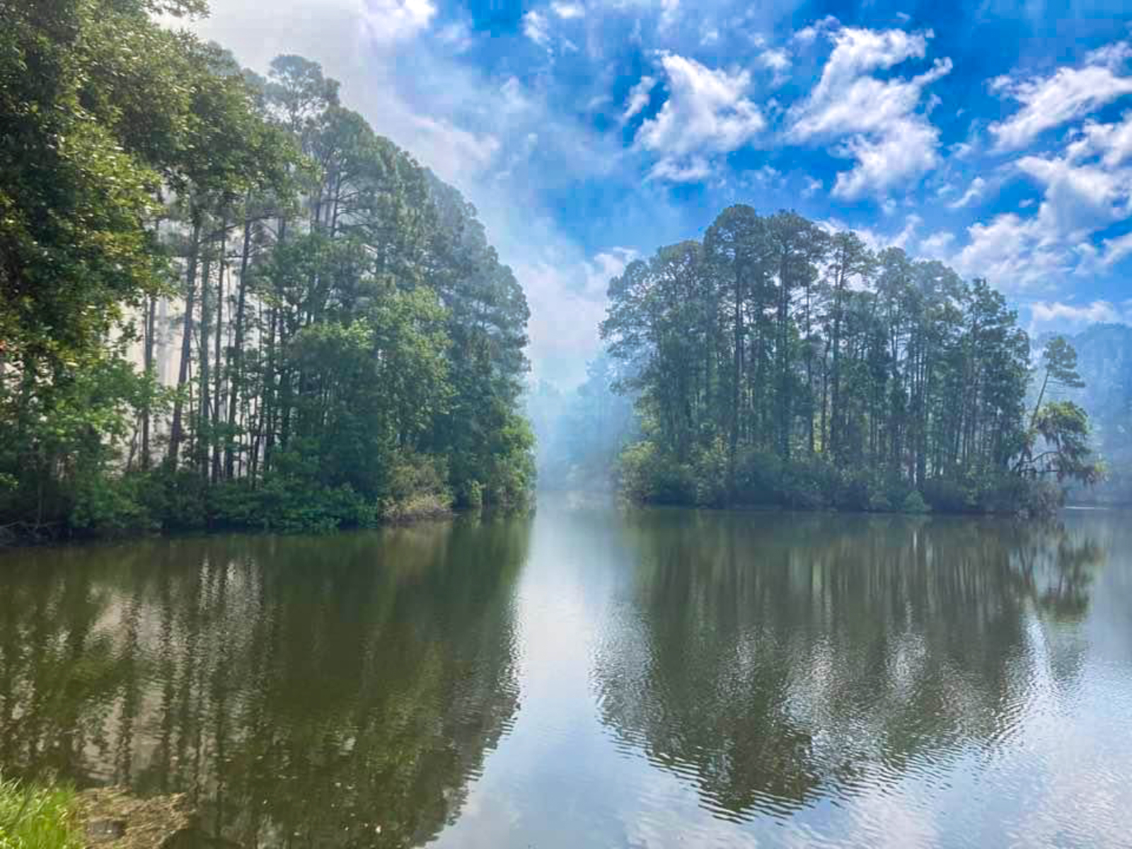 Forest preserve at Mary lake