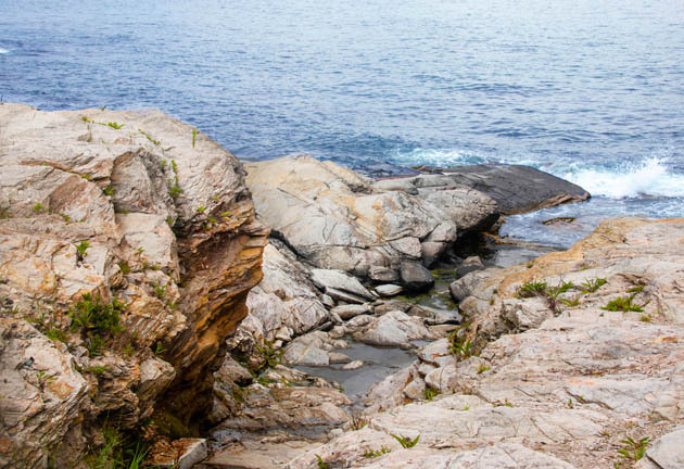 RI_the rocks are alive