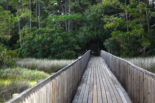 heading to the beach_085