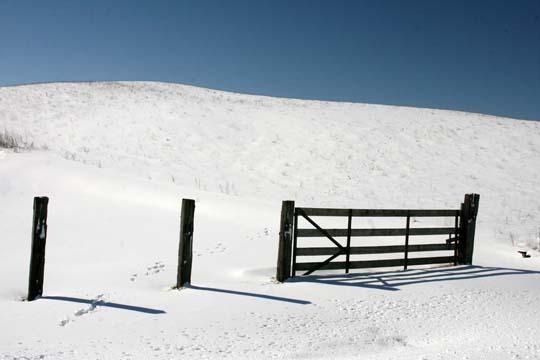 mi_snowfield_0924