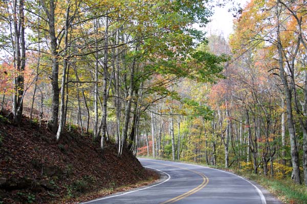 Va_Along the Curve_ 106.