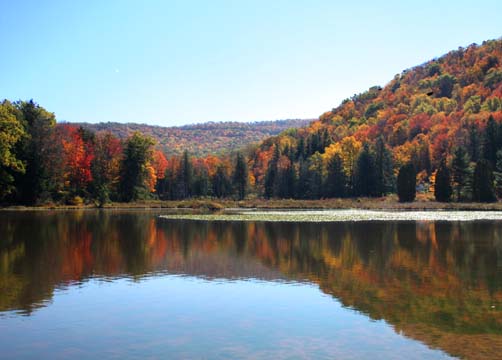 WV_Campsite_0073