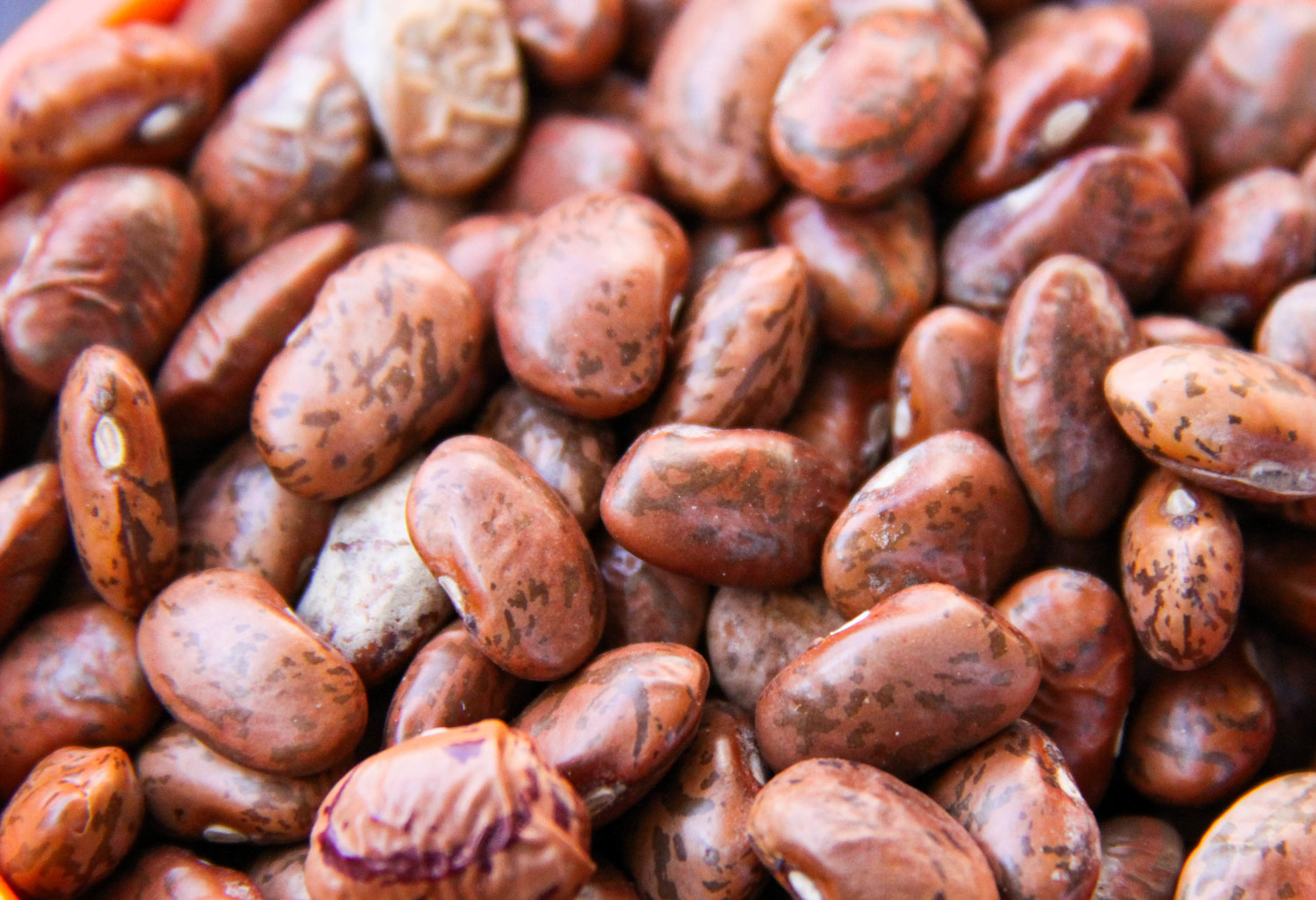 beans beans the magical fruit