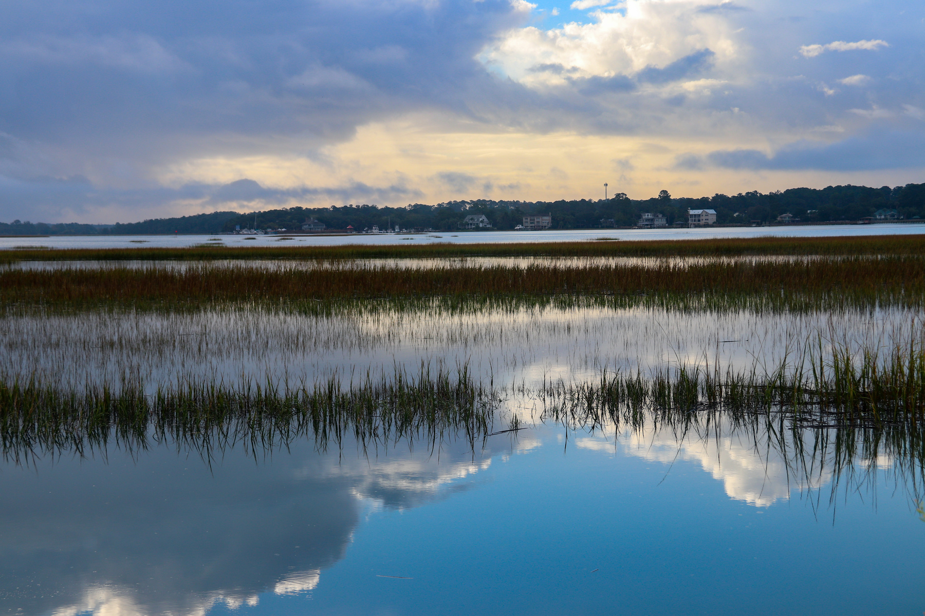 at Pinckney Island