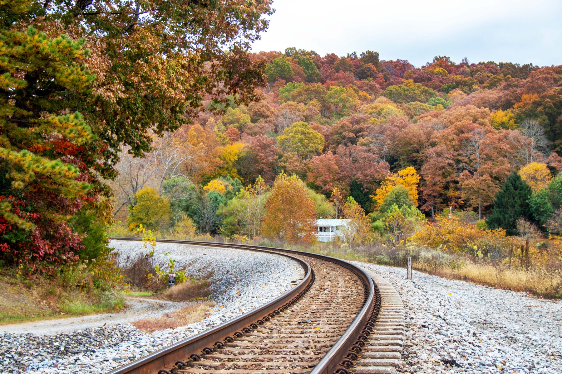 train tracks
