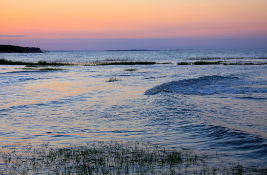 landscape south gallery
