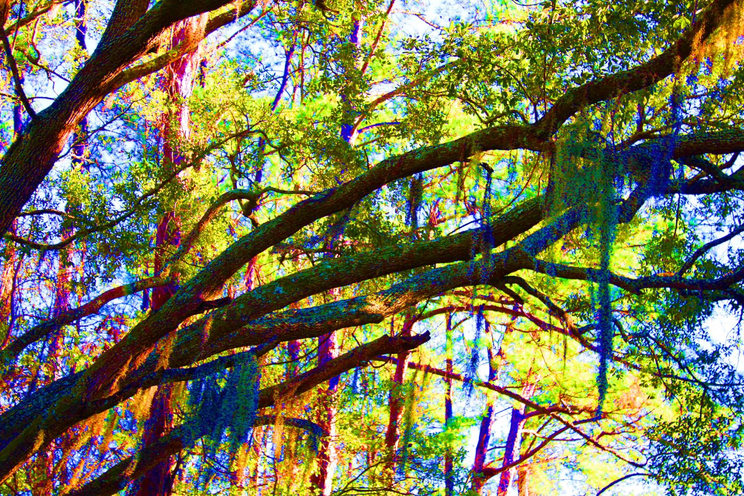 landscape south gallery