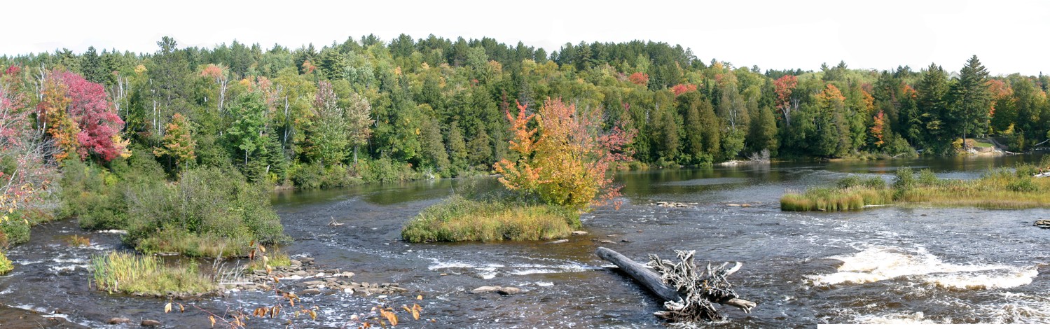 the  lower falls