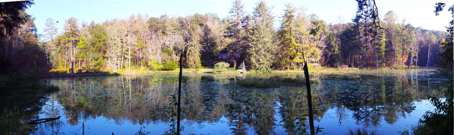 va_P_pond
