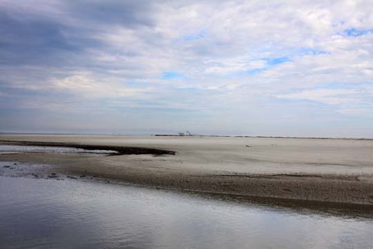 sc_ the river leading to the ocean 053