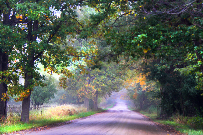 mi_country road_043