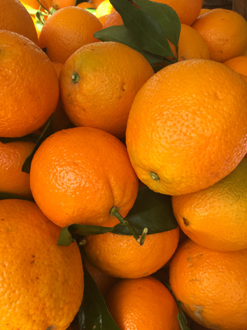 oranges