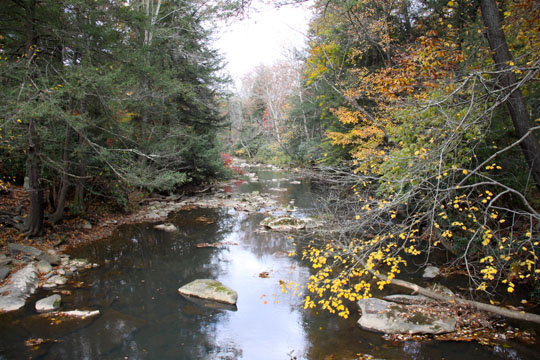 wv_ 445