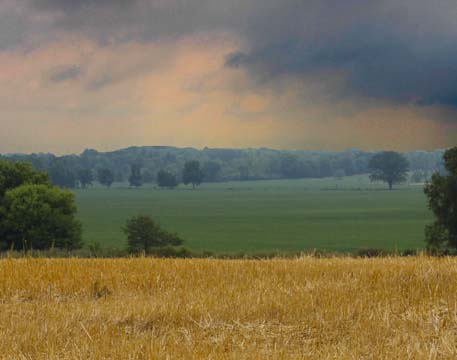 mi_storm field_114t