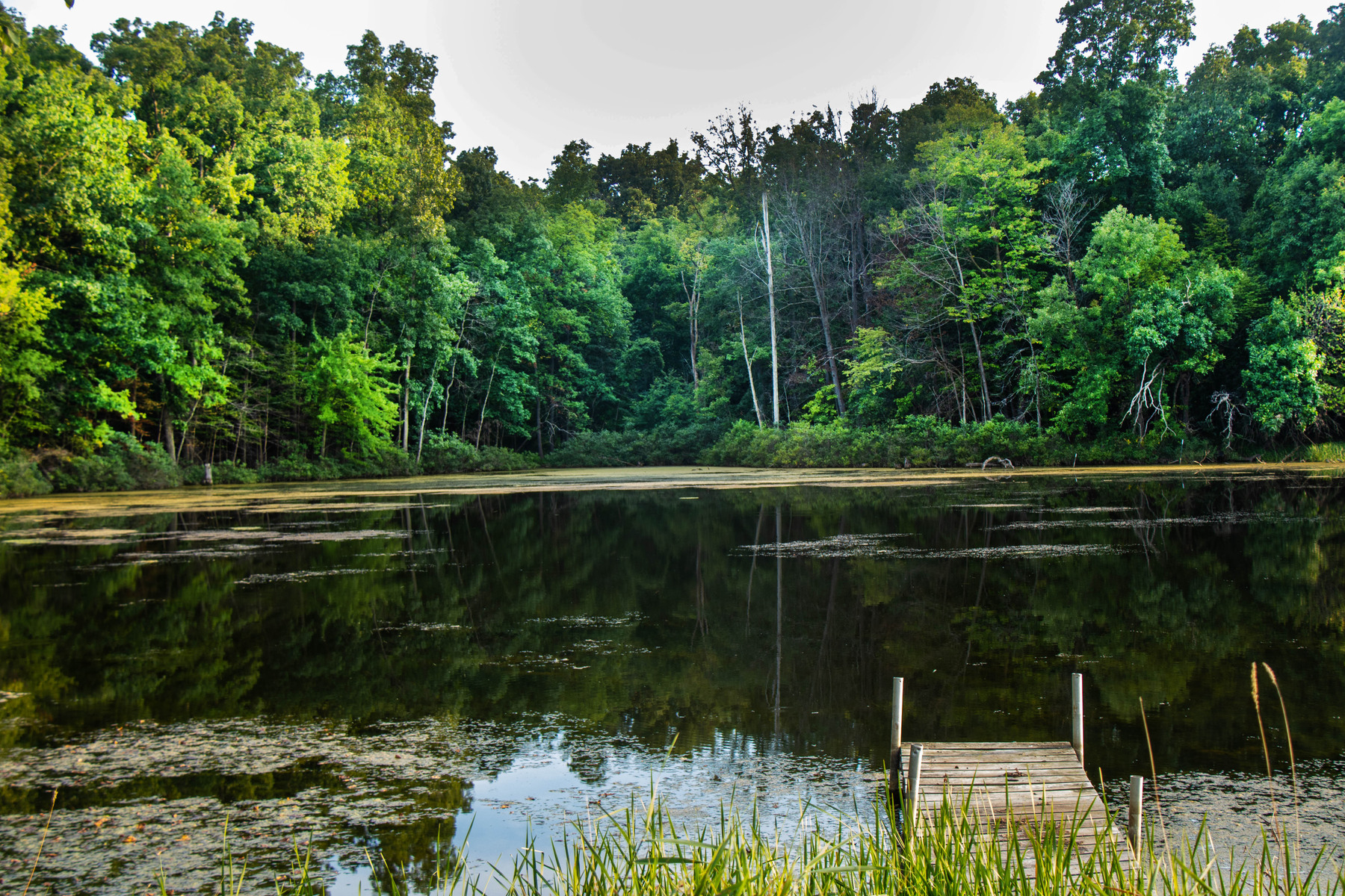the lake at the back