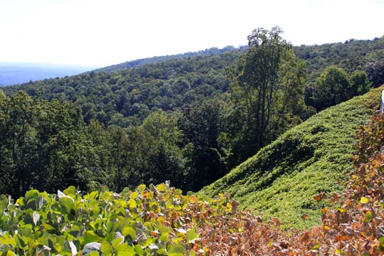 landscape gallery south