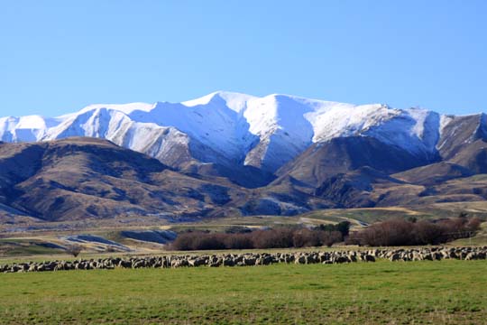 nz_052