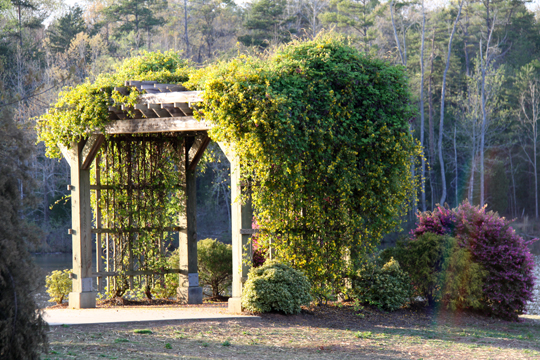 nc_Pagoda_028