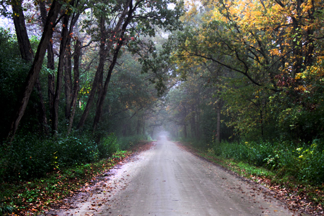 mi_joy road_067