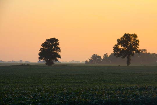 landscape gallery_midwest_oh