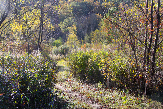 Landscape gallery/Michigan