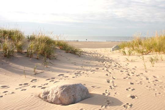 mi_south haven_4475
