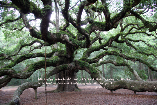 Darkness may hide the trees and the flowers from the eyes, but it cannot hide love from the soul