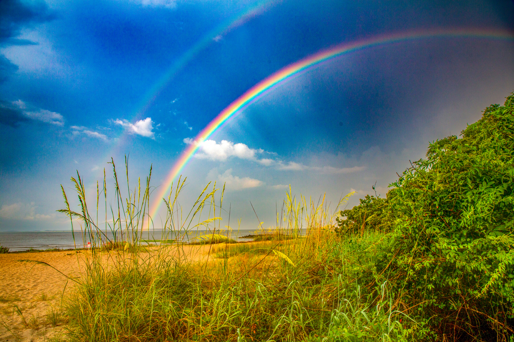 double rainbow