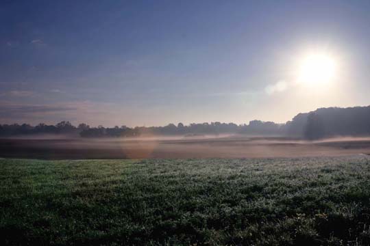 mi_foggyfarm3