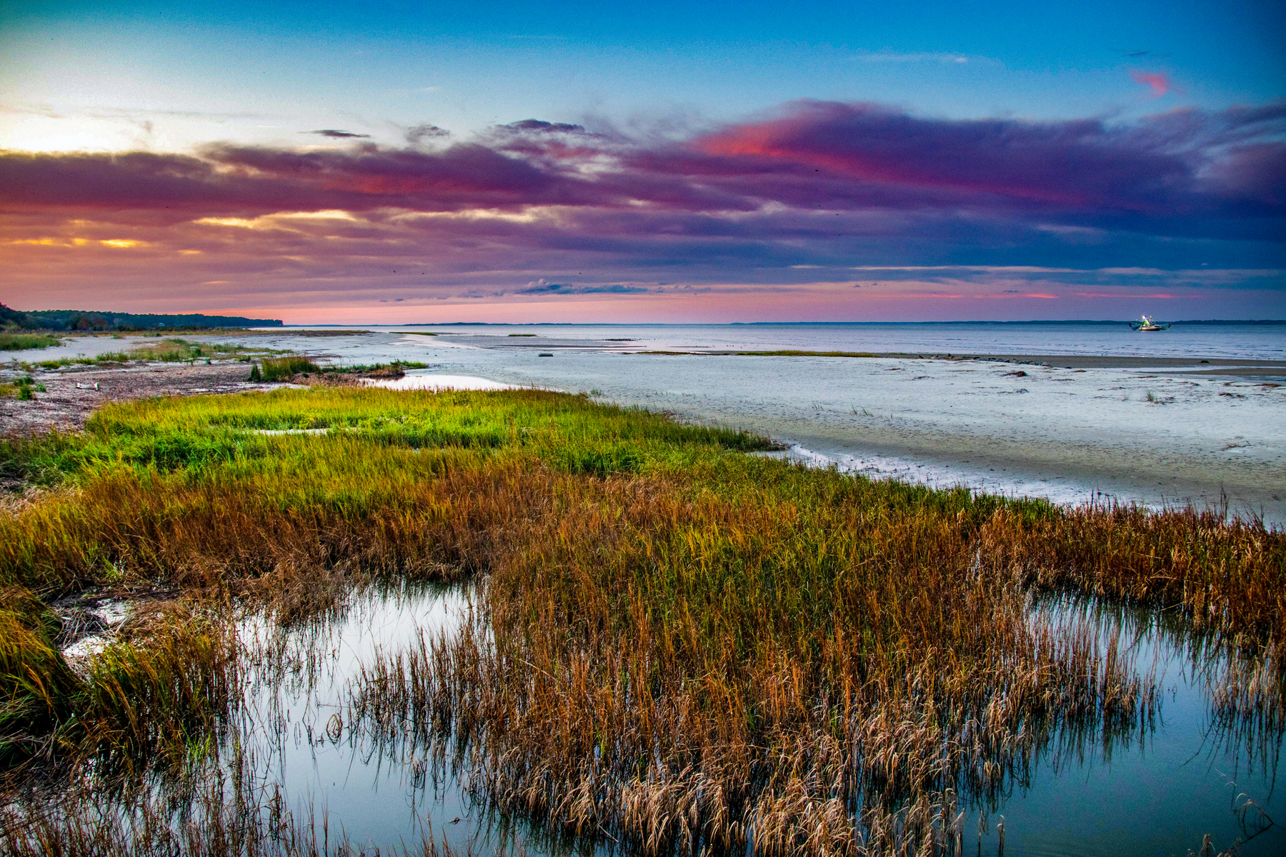 marshgrass at sunset