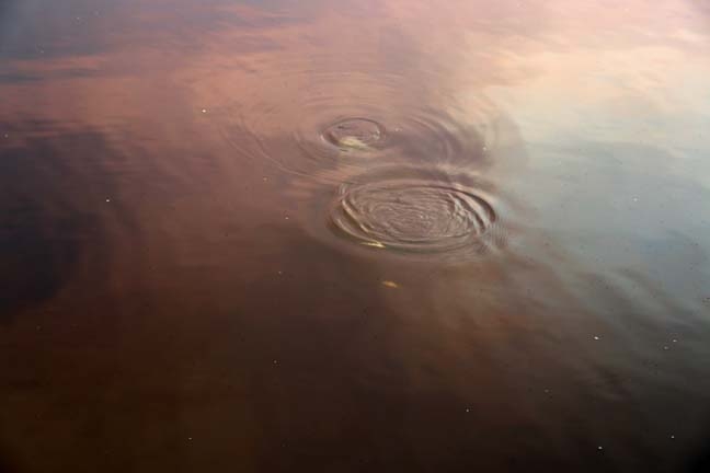 beneath the surface_029
