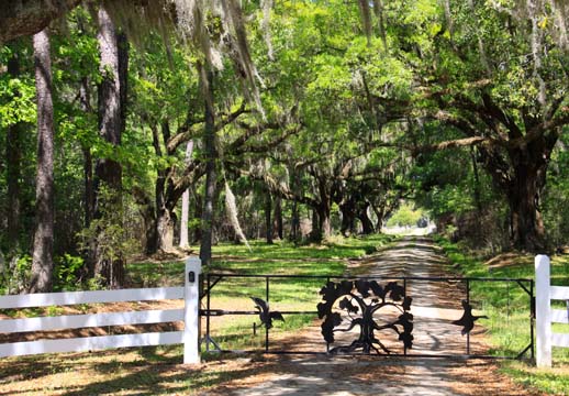 landscape gallery south