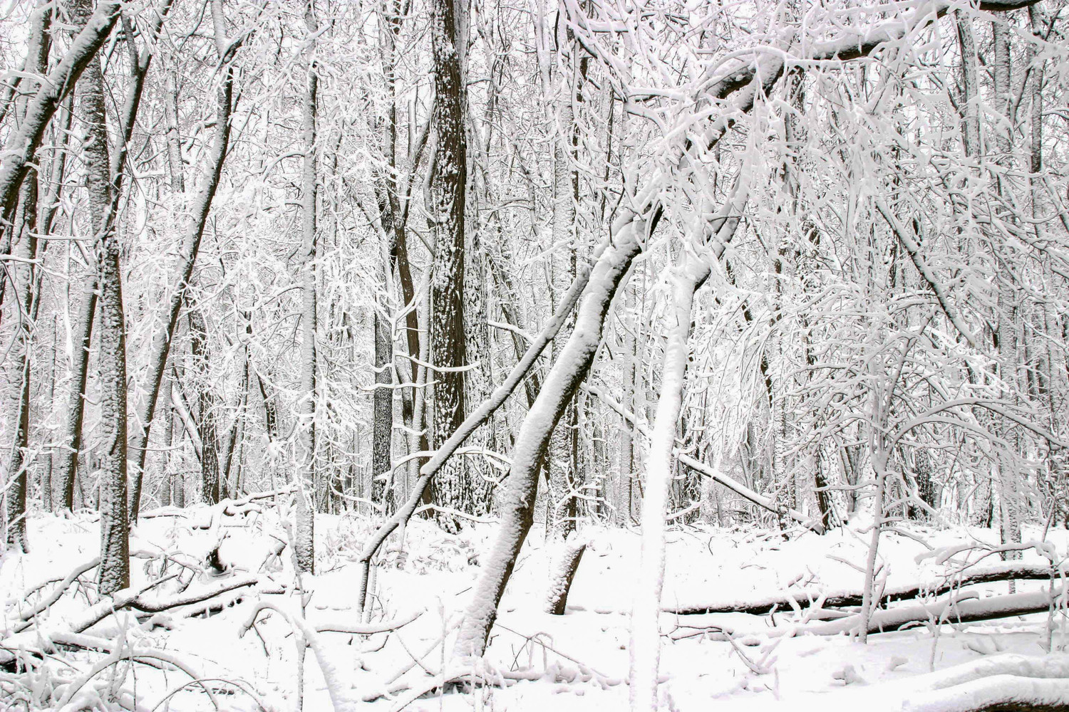 donnavan road in winter