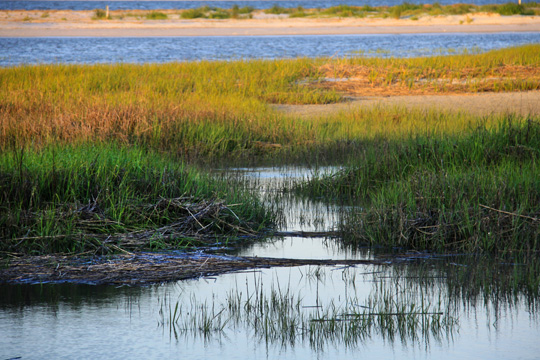 landscape south gallery