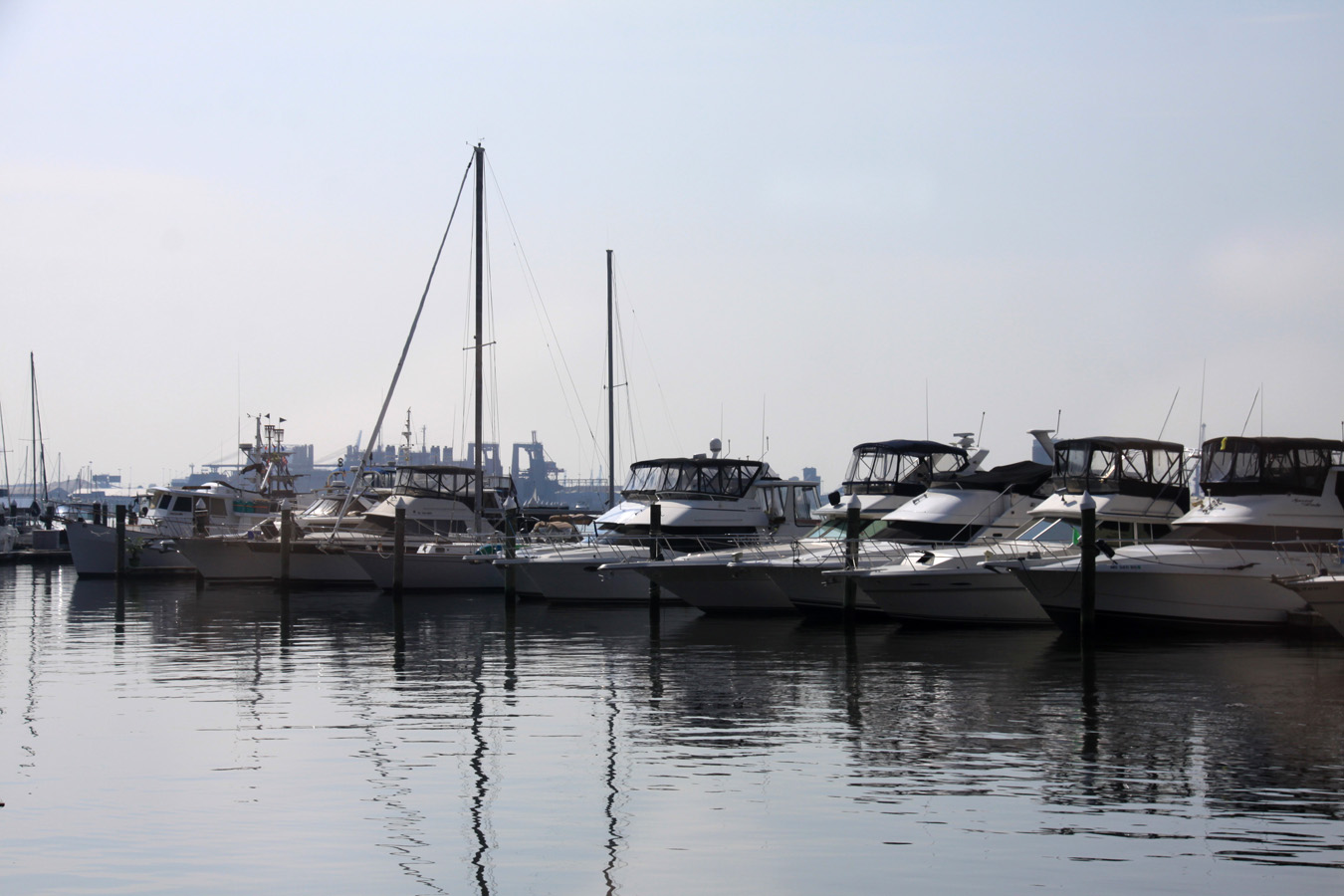 md_the marina