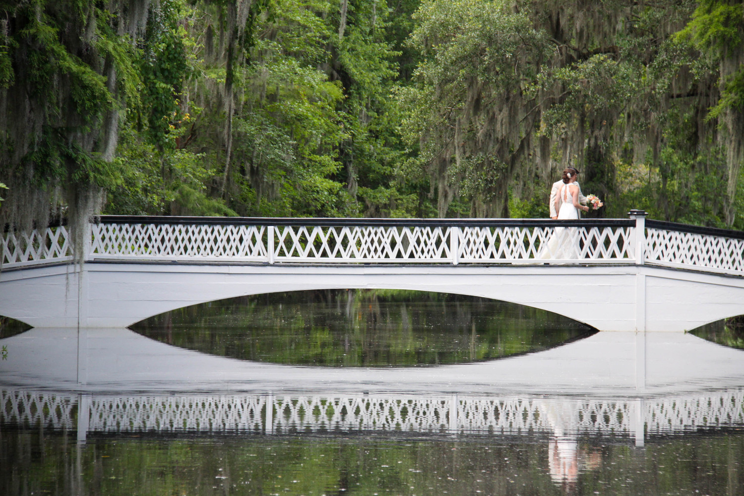 Magnolia Plantation