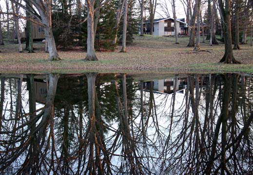 mi_house in the woods_ 018