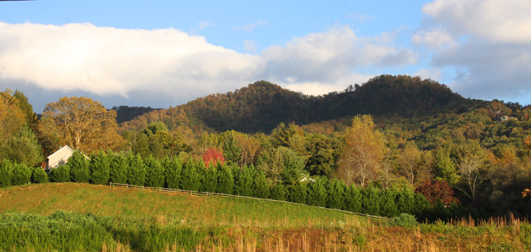 nc_near ashville P_ 043