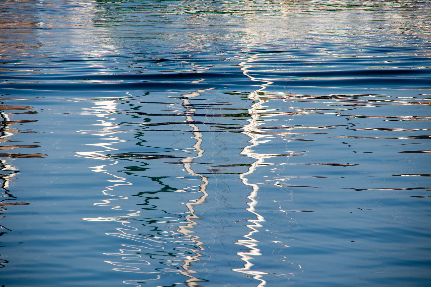 In the harbor