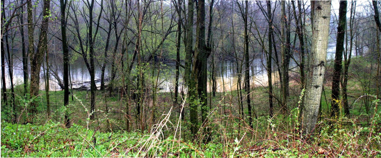 along the Huron River