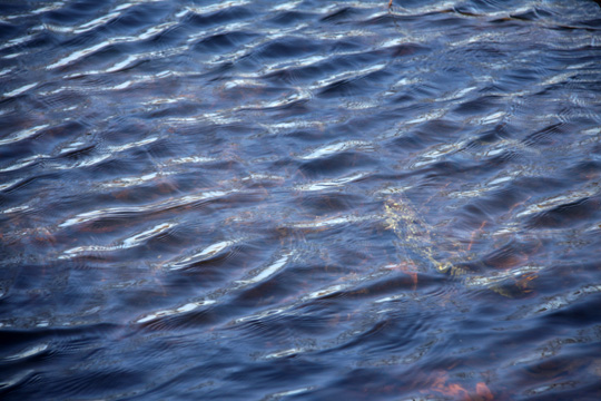 mi_ripples_ 041.